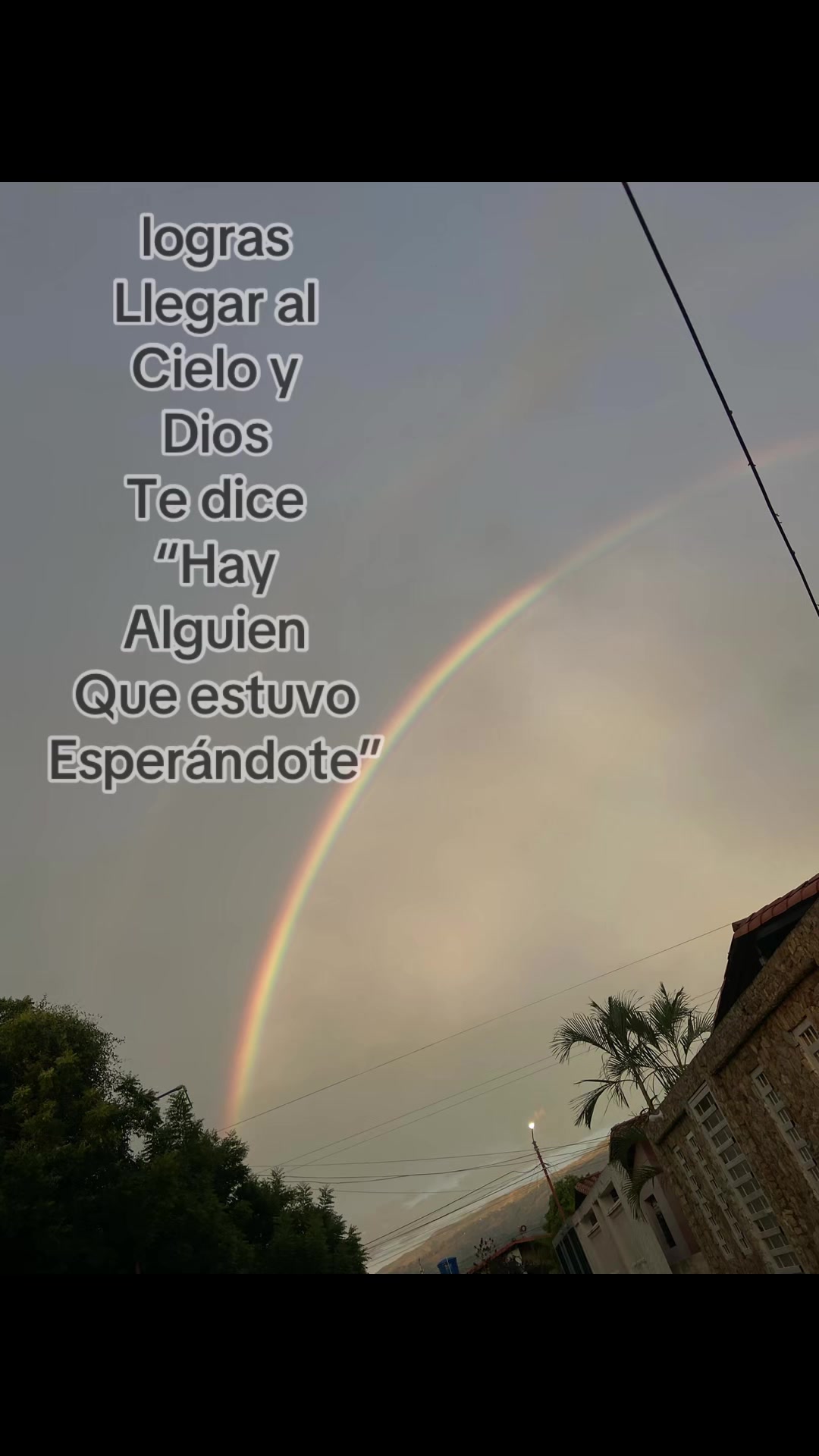 @D'avid_alx🪽