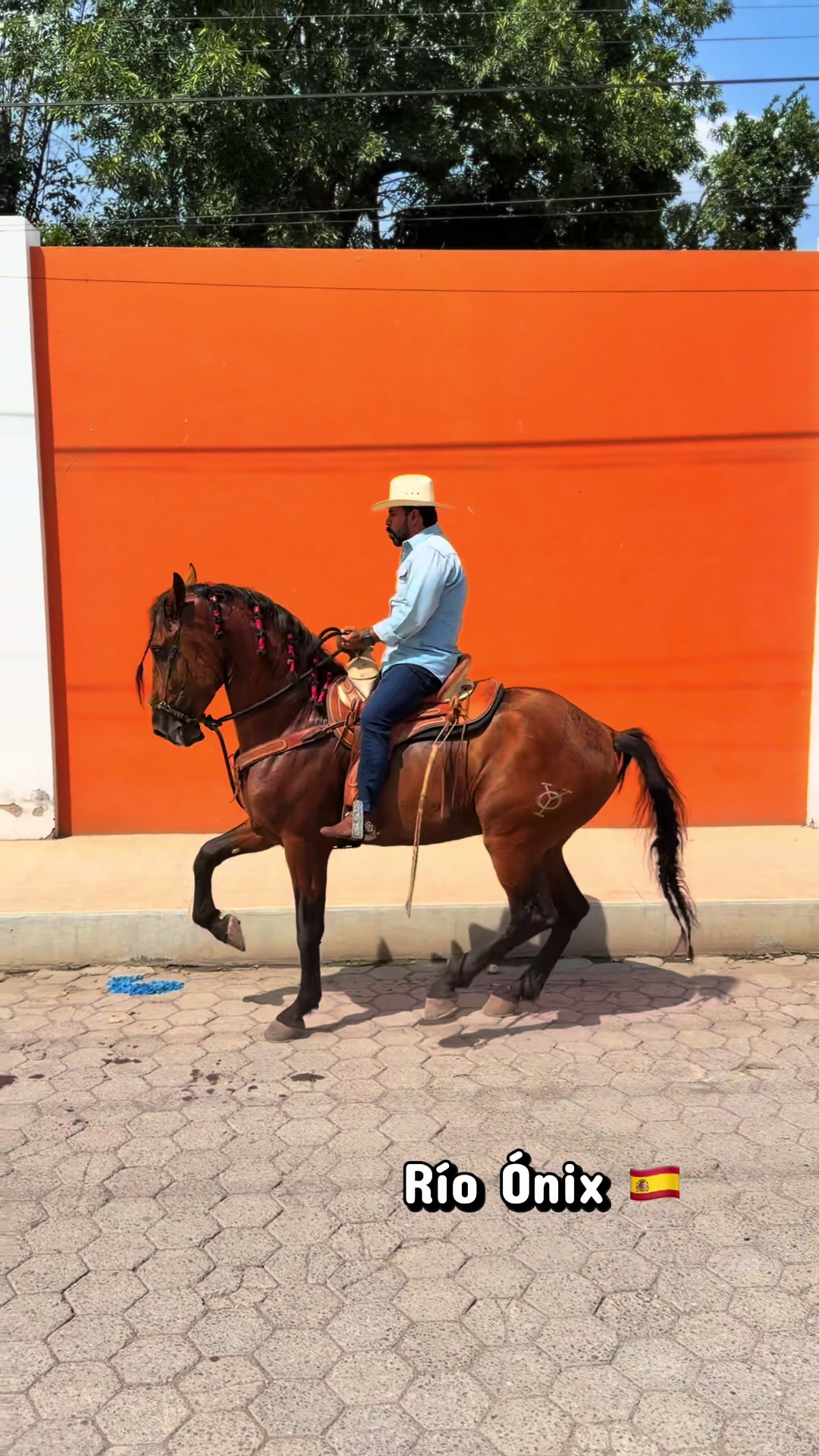 @Rancho los Arcos