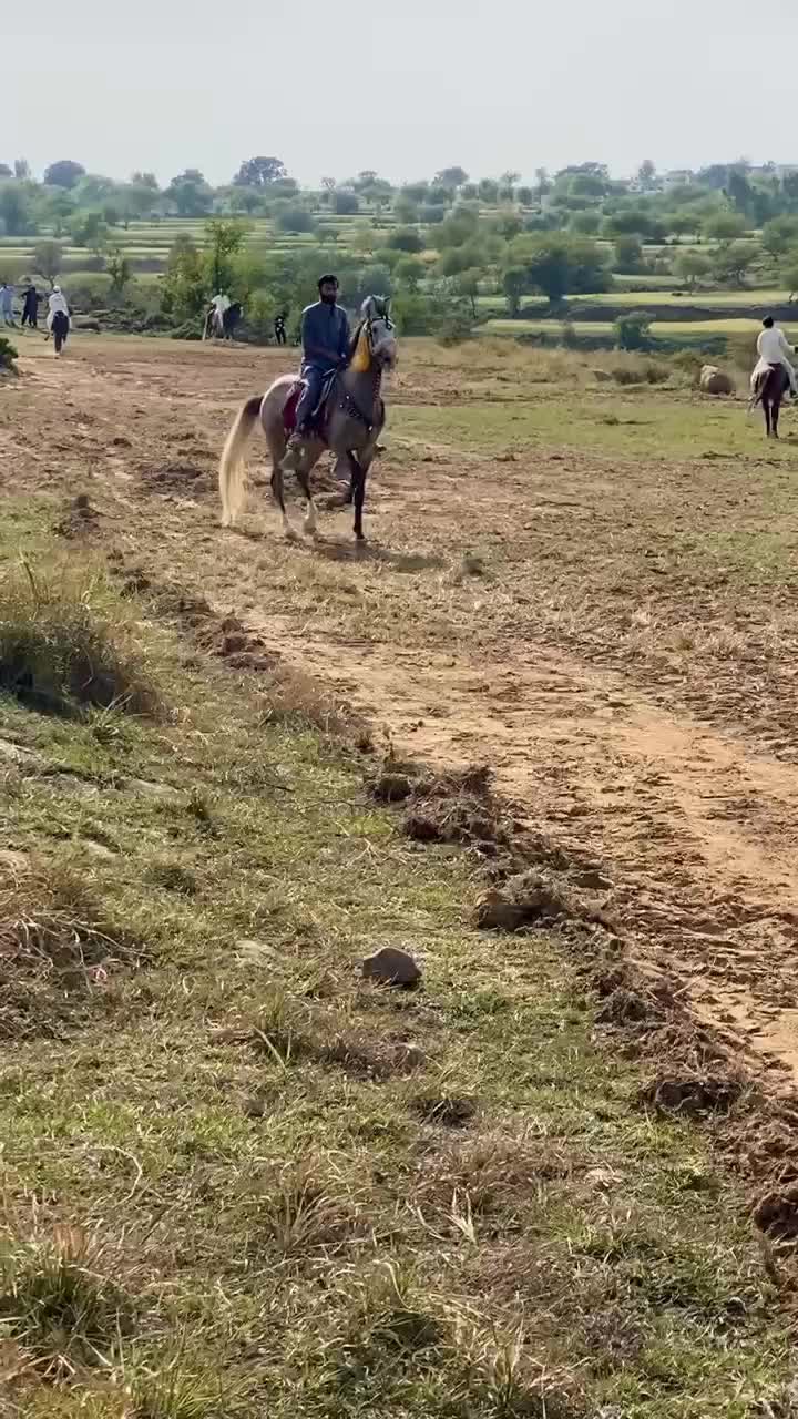 @RAJA SAQIB ALI SAQI