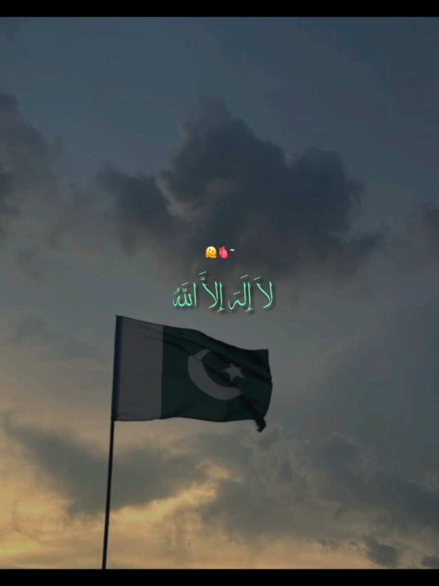 @꧁༺𝙉𝙤𝙩 𝙮𝙤𝙪𝙧 𝘼𝙨𝙖𝙙༻꧂
