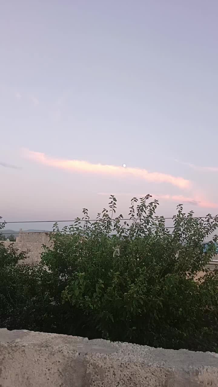 @𝗡𝗦