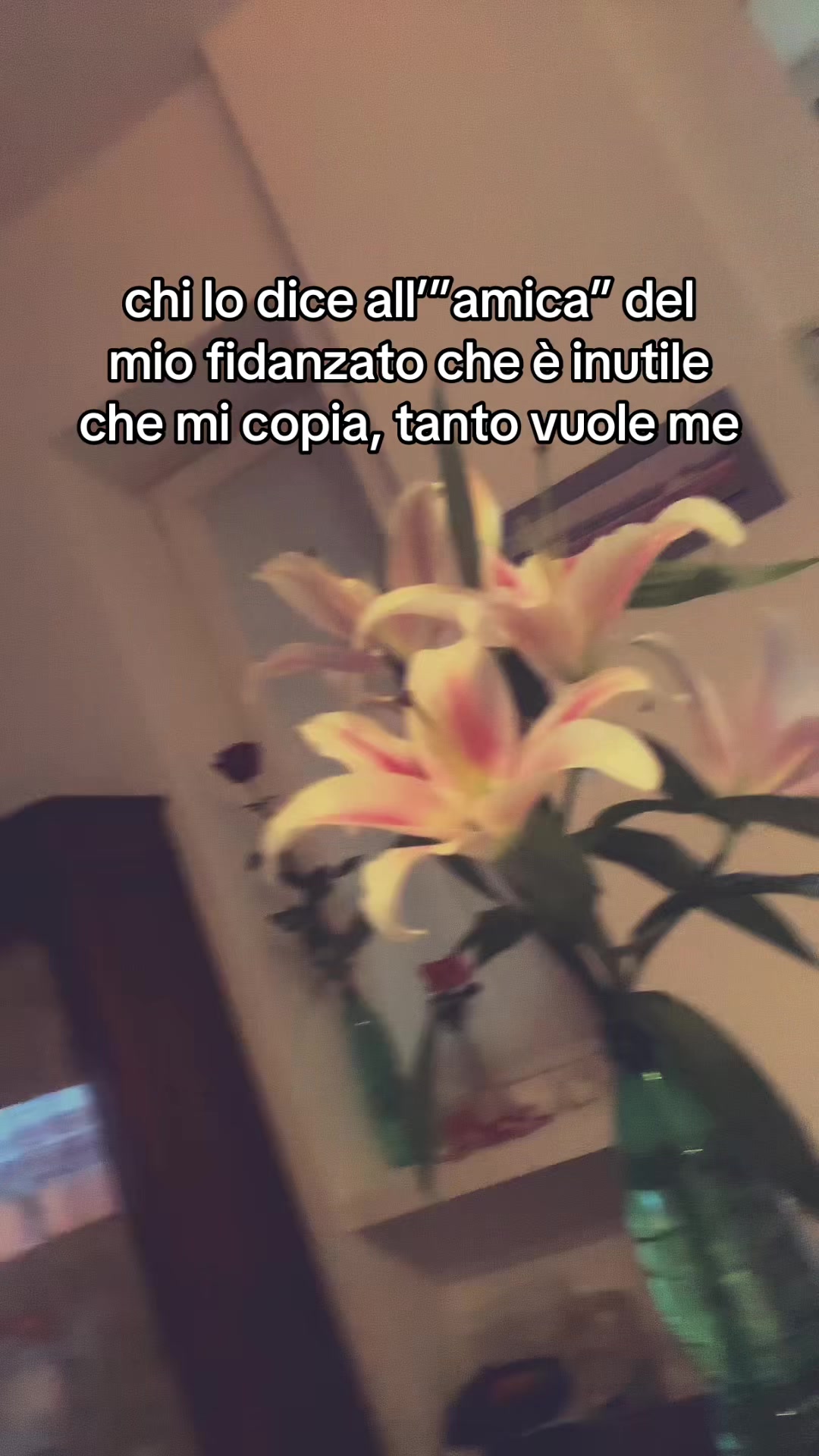 @feedesspamm