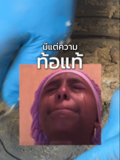 @xingxing_malashabu