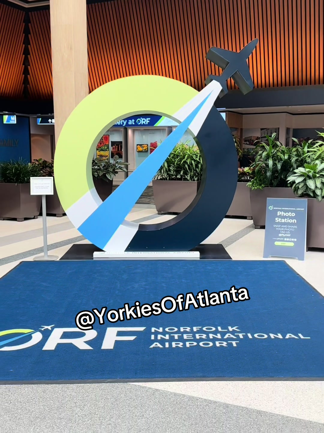 @Yorkies Of Atlanta