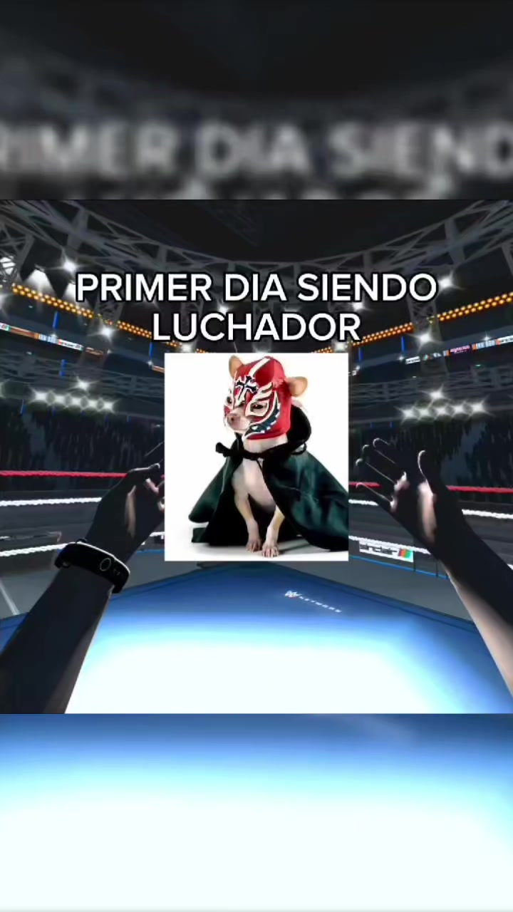 @BolilloVR