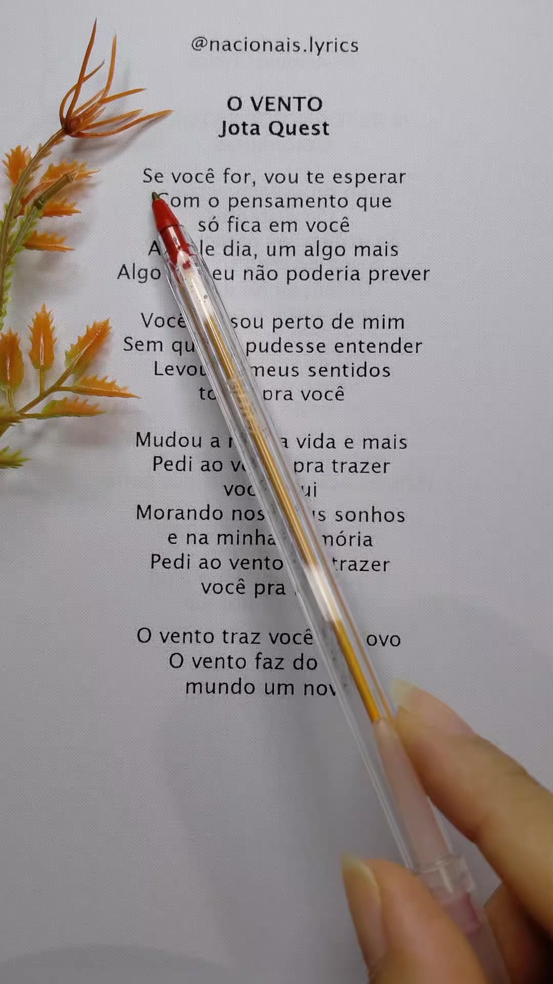 @nacionais lyrics
