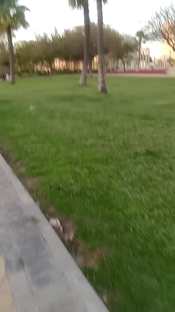 @gracelibrea