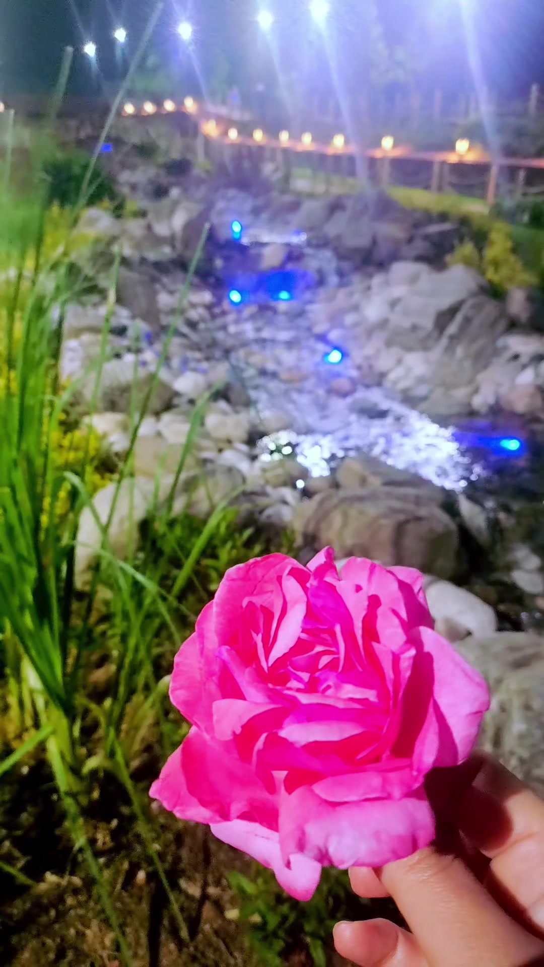 @🌸زهرة اللوتس 🌸