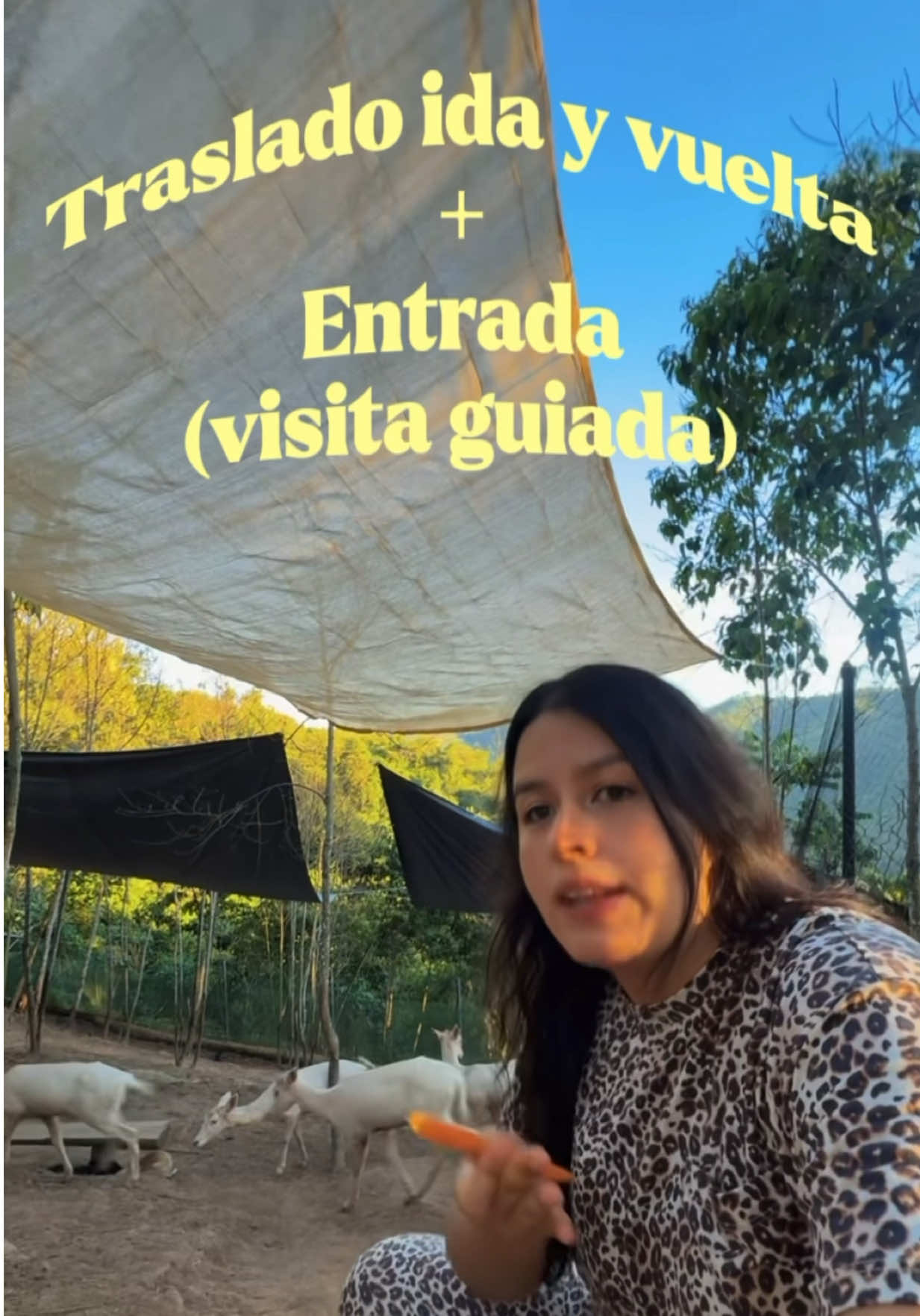 @La Casita del Avestruz