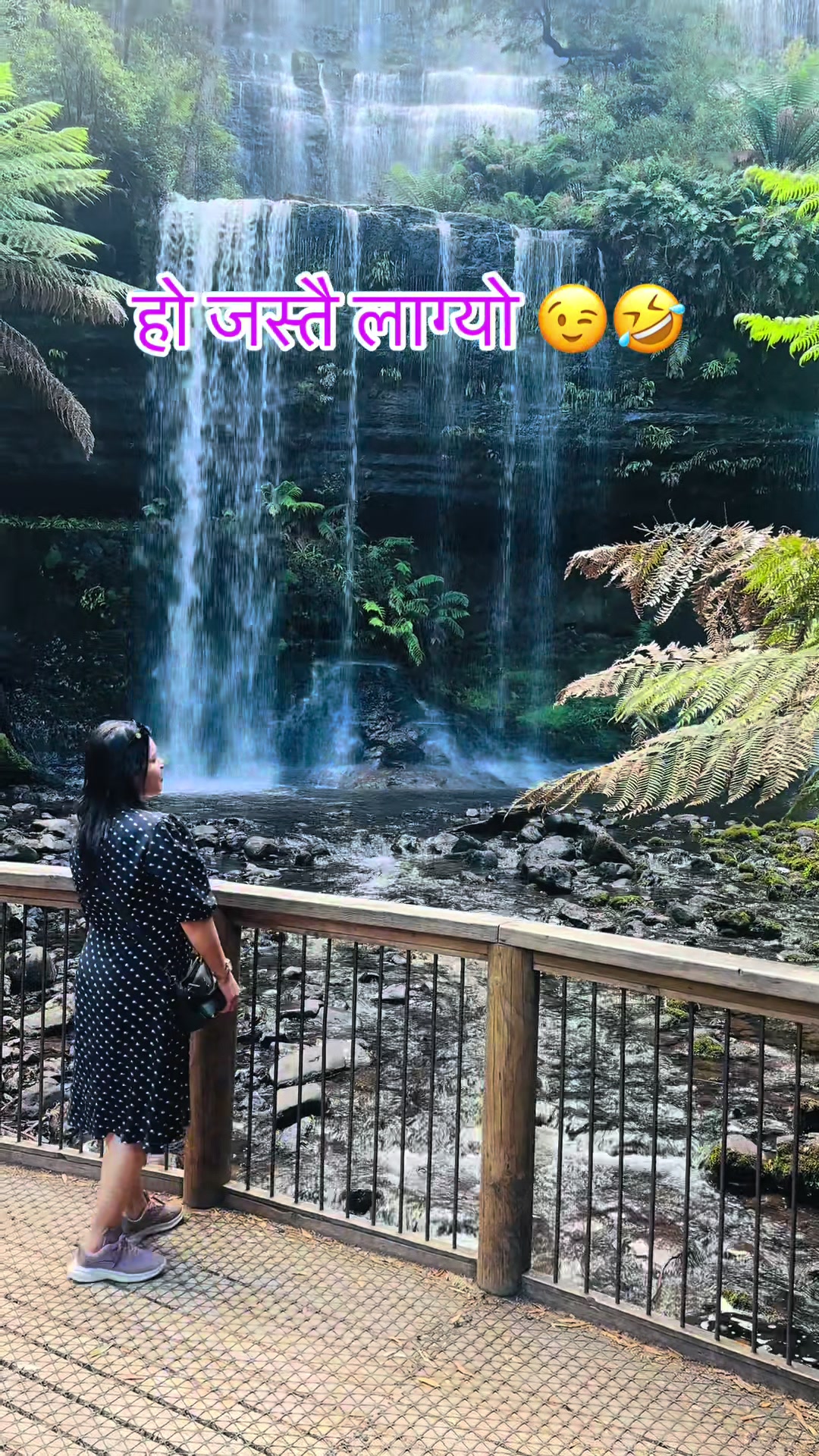 @binduitani04