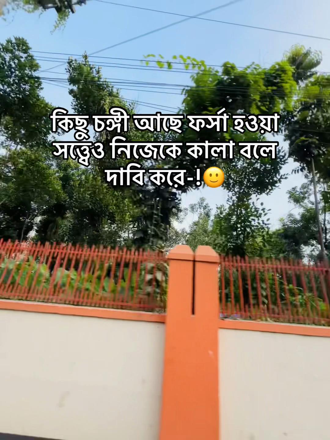 @টিক -টিকি