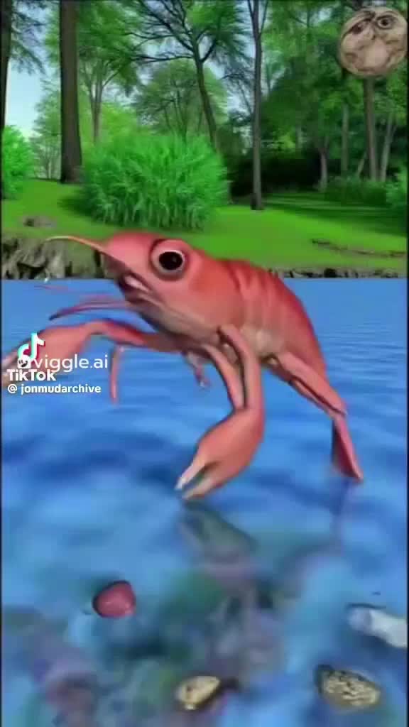 @tom