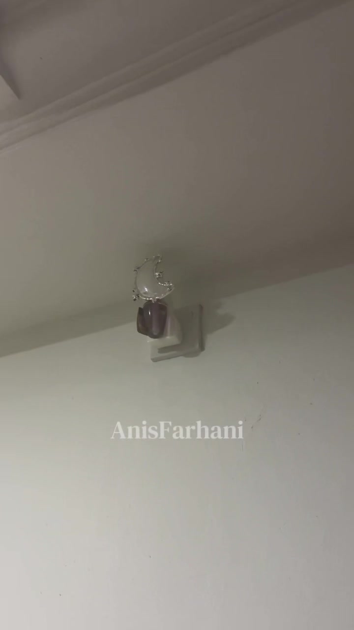@anissfarhanii