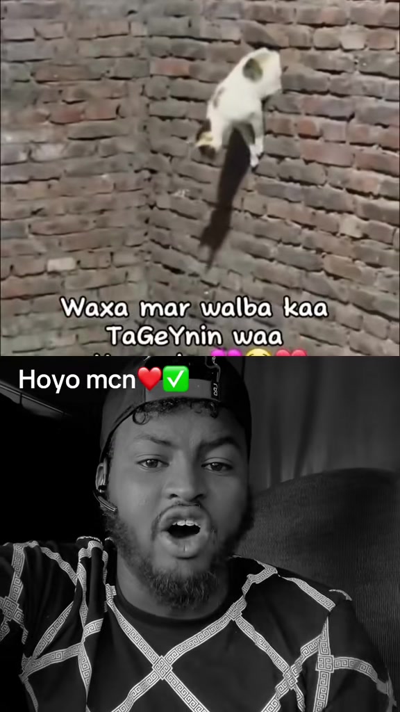 @abwanozil3✅❤️