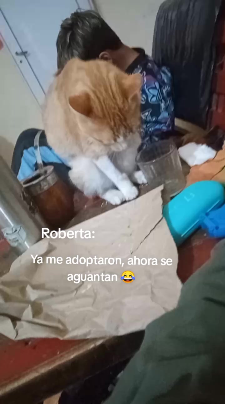 @Elii Raichevich