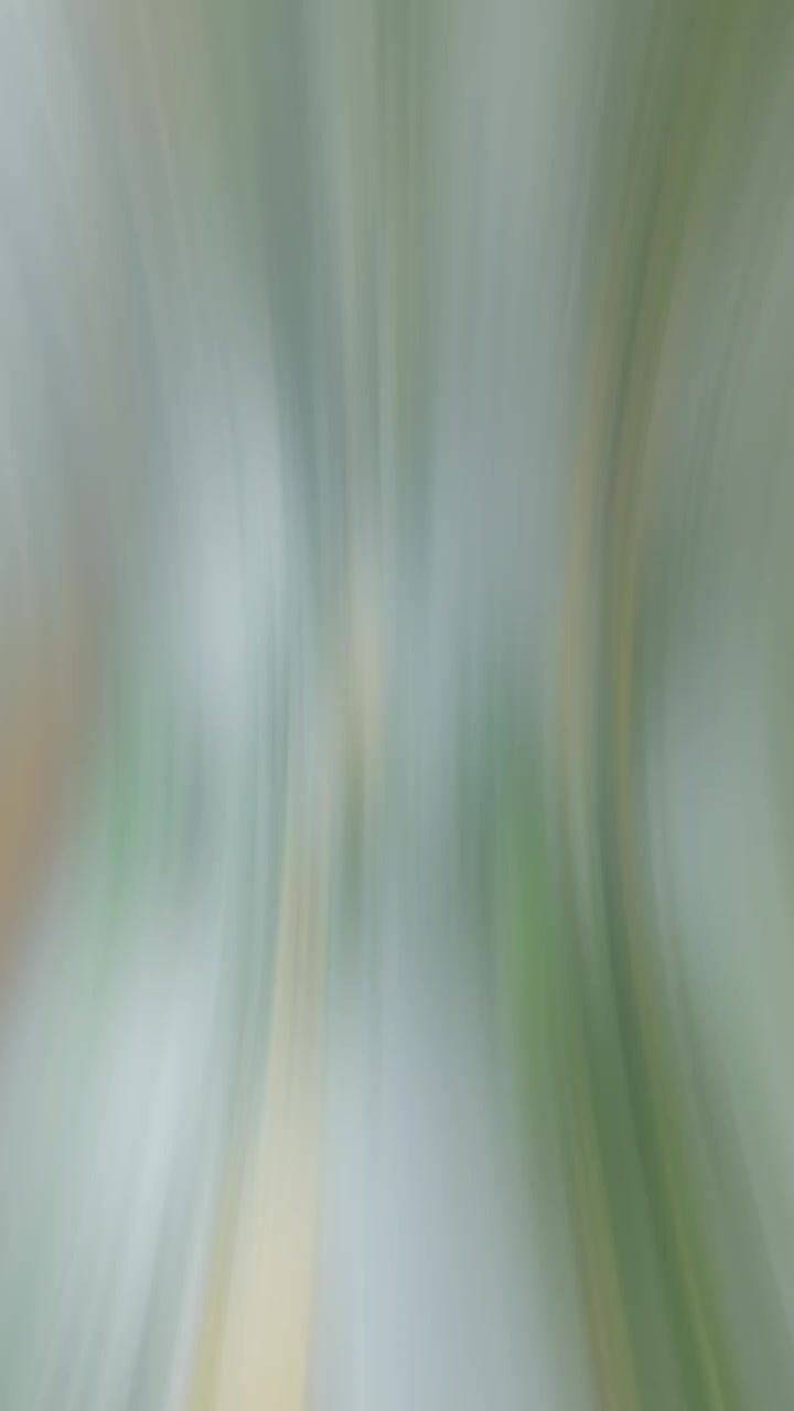 @huy 6a2