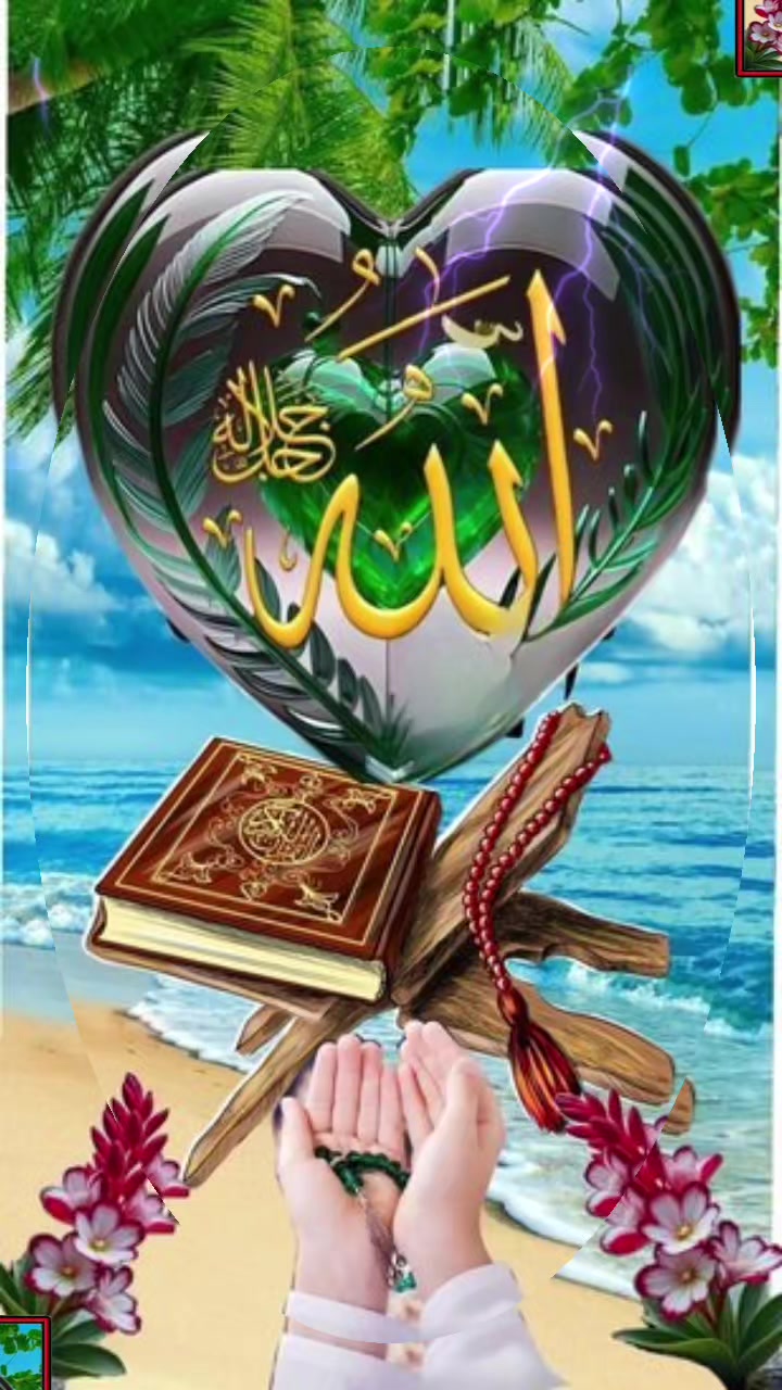 @Anshaa siraj