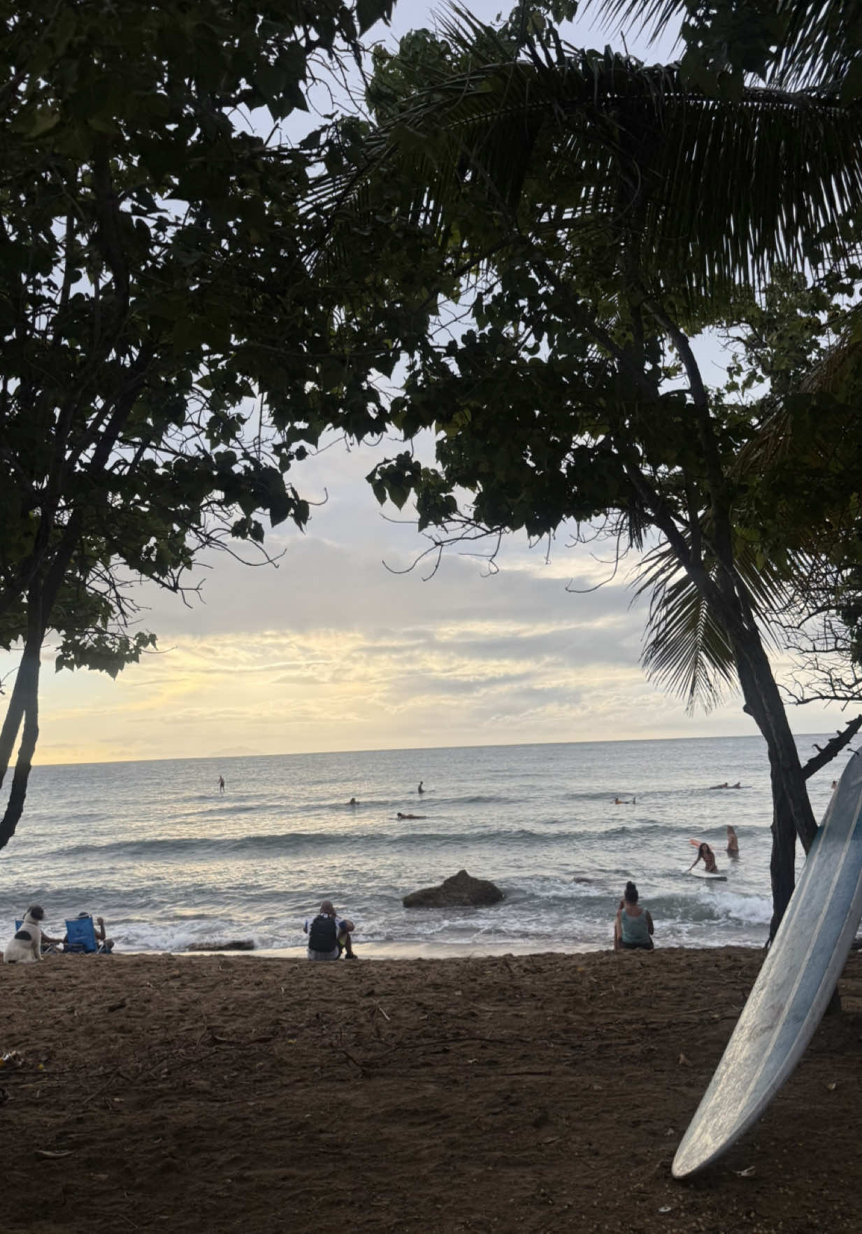 @Belton Tyrone 🇵🇷
