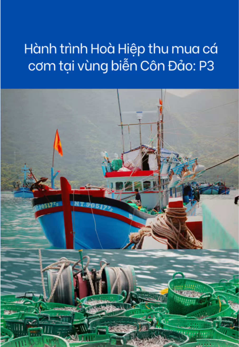 @H&ograve;a Hiệp Foods Official