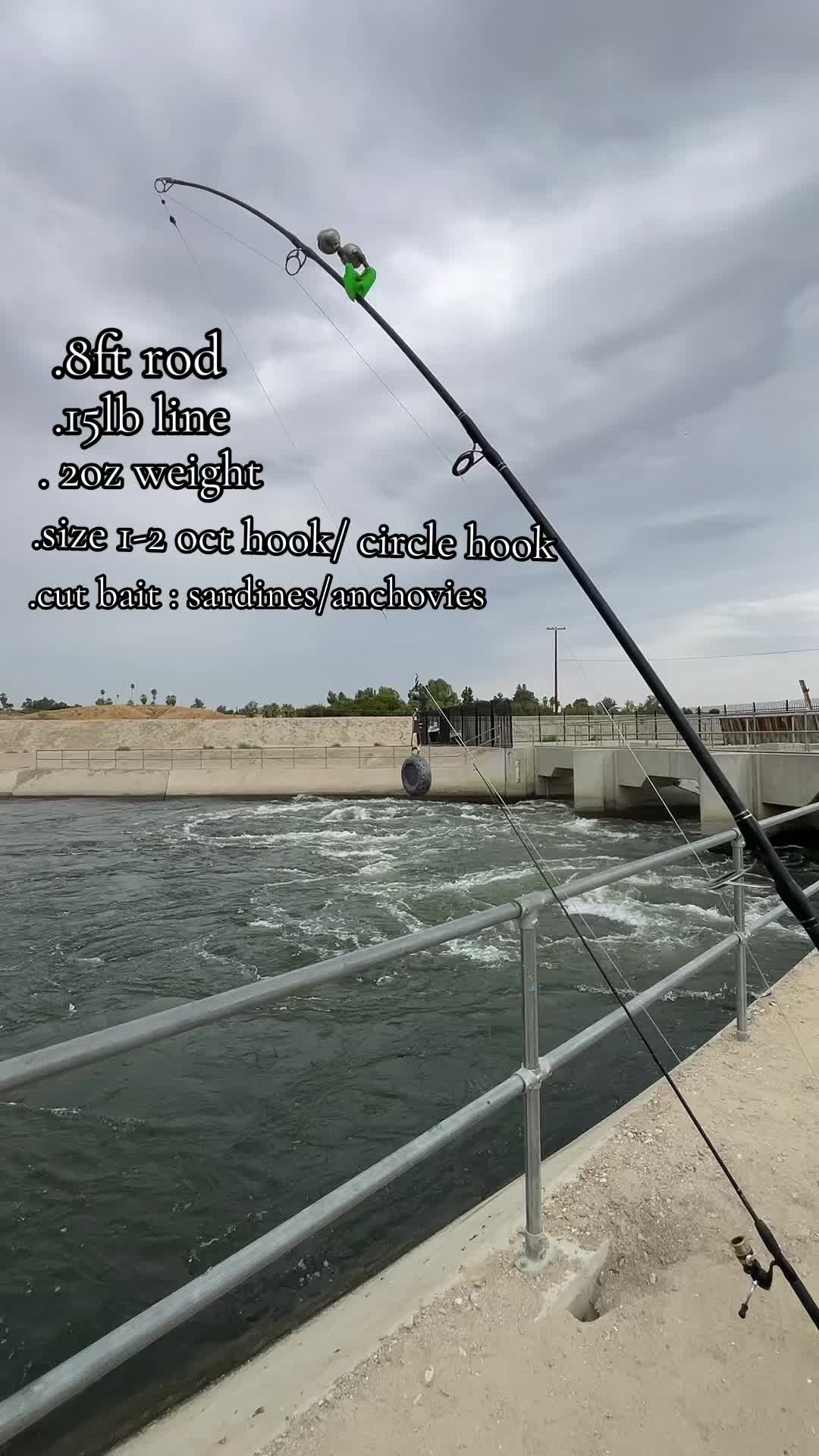 @Cast2Catch_661