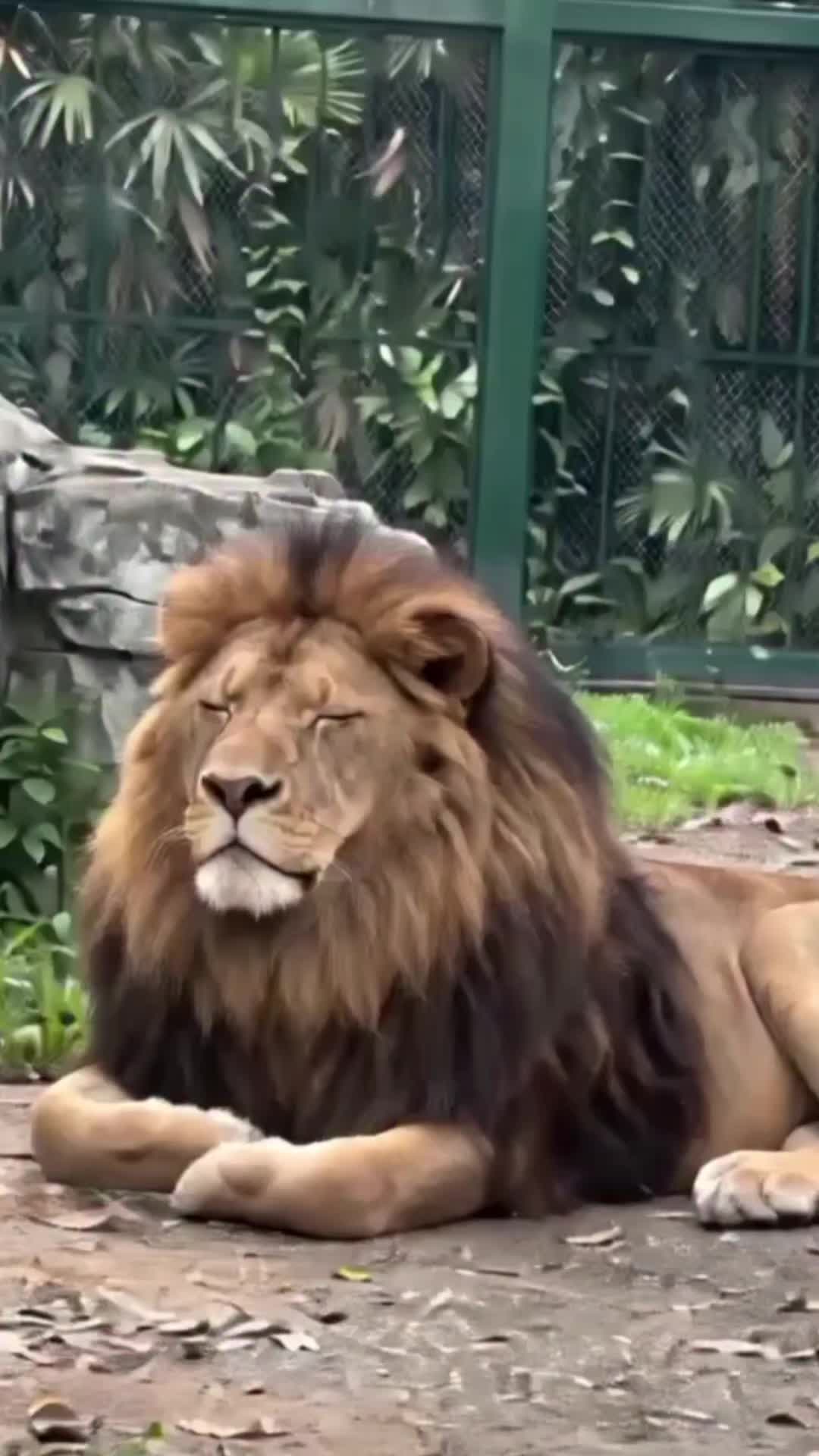 @Setuyuwadanger🌹❤️!!!.