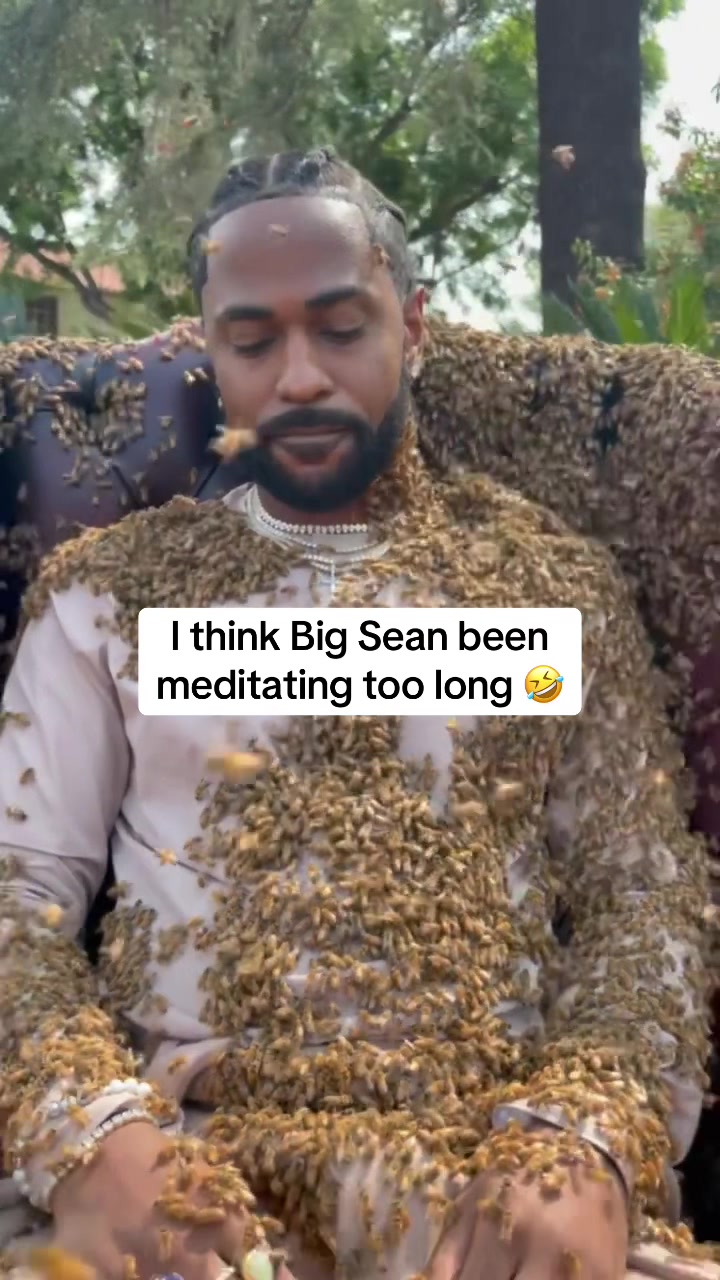 @seandonnboi