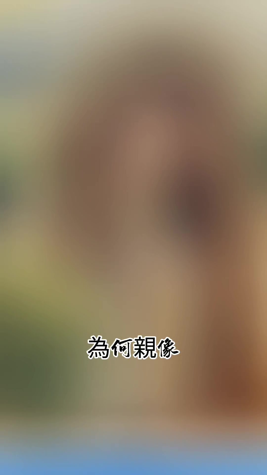 @王村美