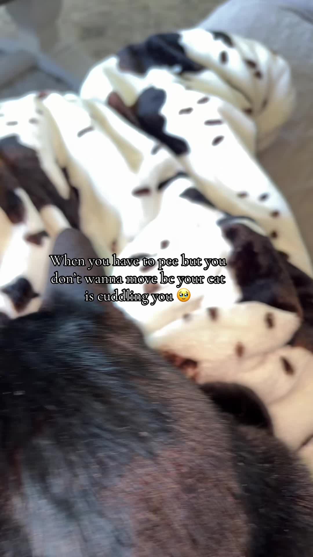@𝔄𝔩𝔢𝔵𝔞𝔫𝔡𝔯𝔦𝔞🕸️