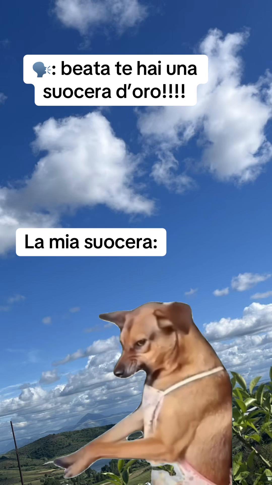@LOLSempre😜😜