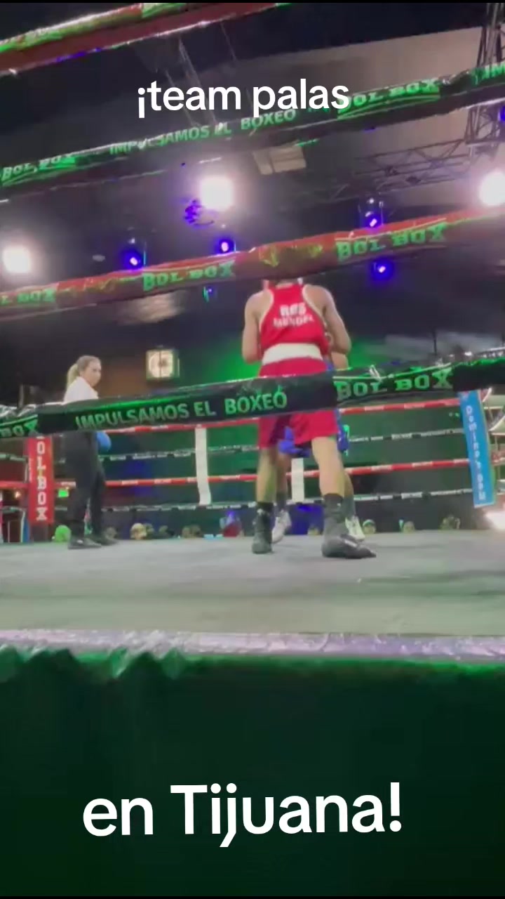 @palas boxing