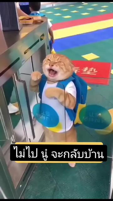 @@ไข่ตุ๋น