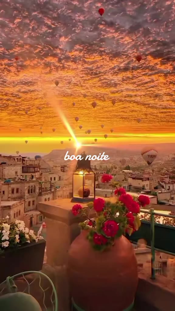 @DEGOIS ☕🙏🦁😅🌎🦮🐈⬛🏫⚒️🇧🇷