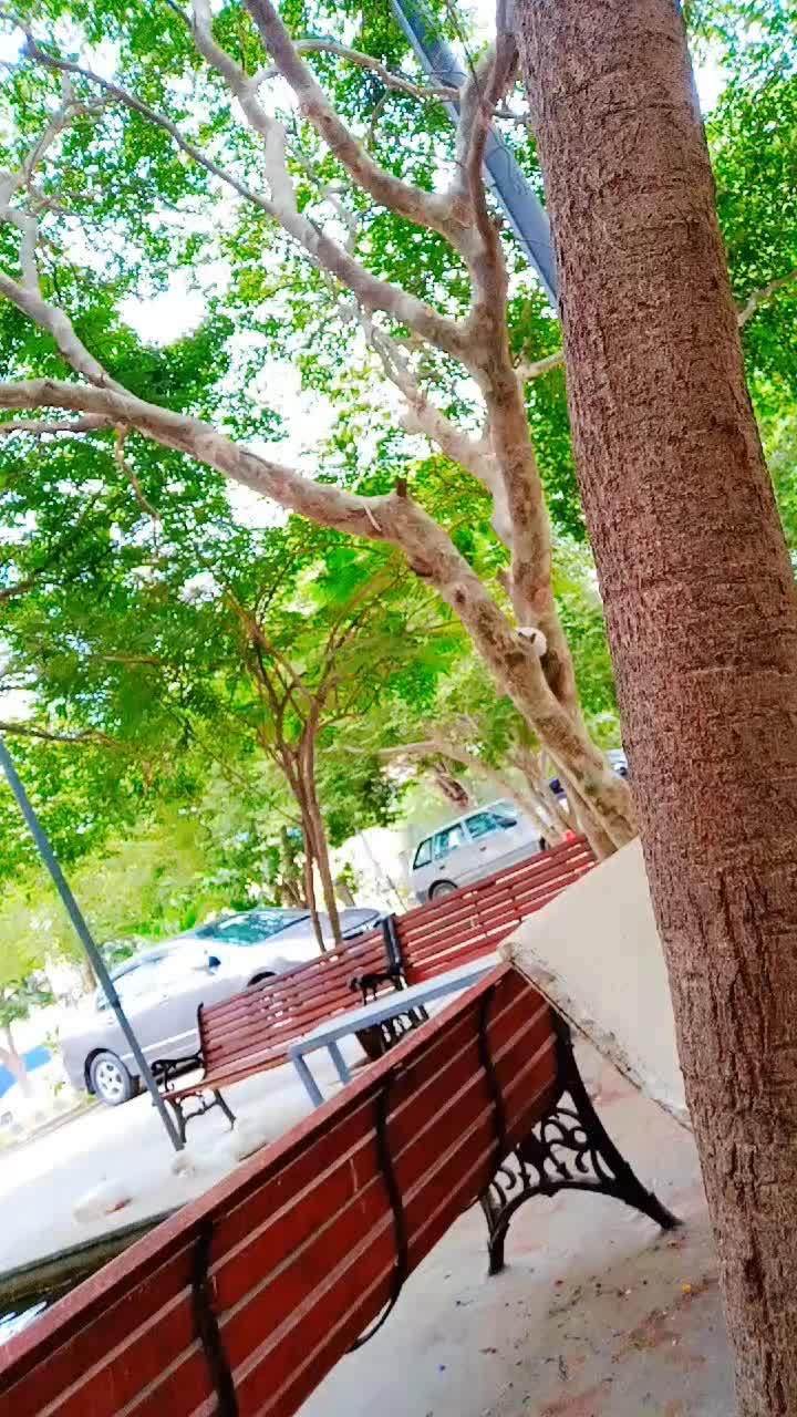 @Sunny
