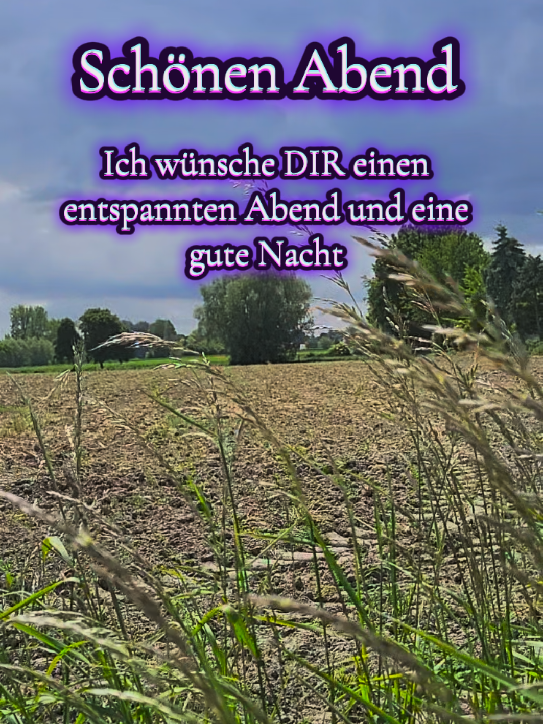 @Binni Jörg