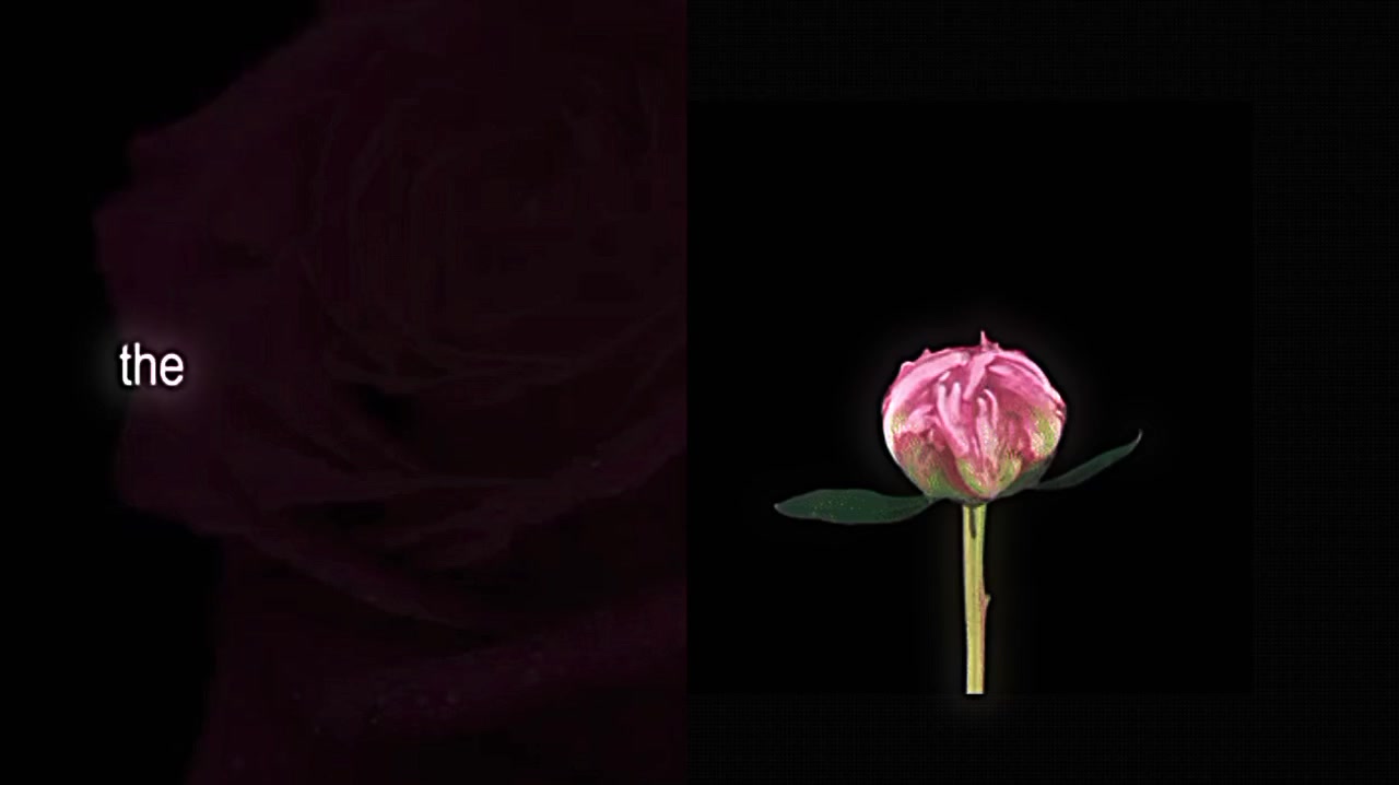 @𝘷𝘦𝘭𝘮𝘮𝘳𝘢𝘺𝘹