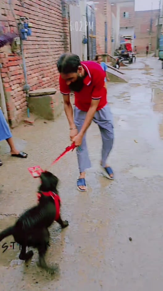 @Rana Jani