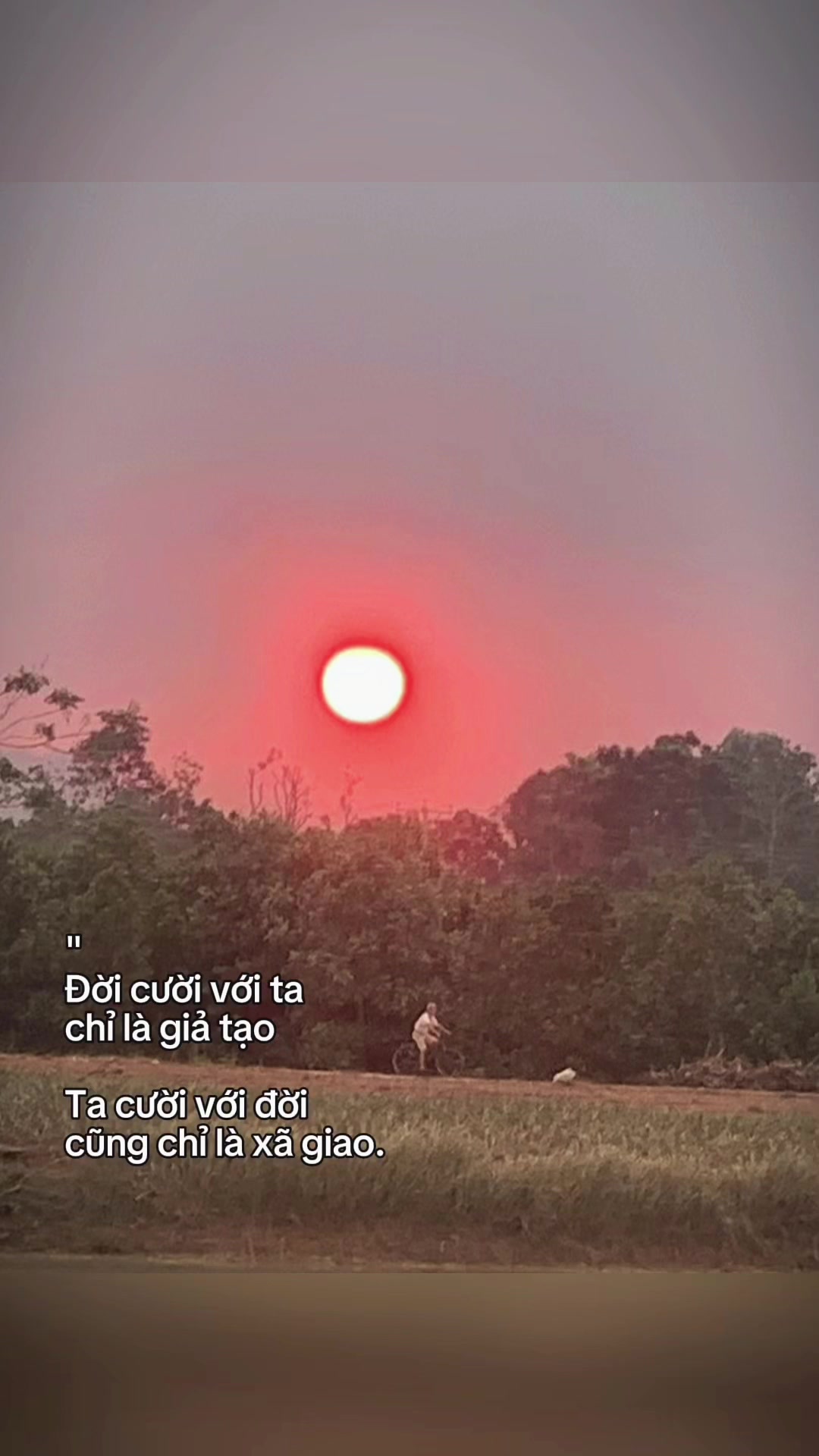 @htsgudcv