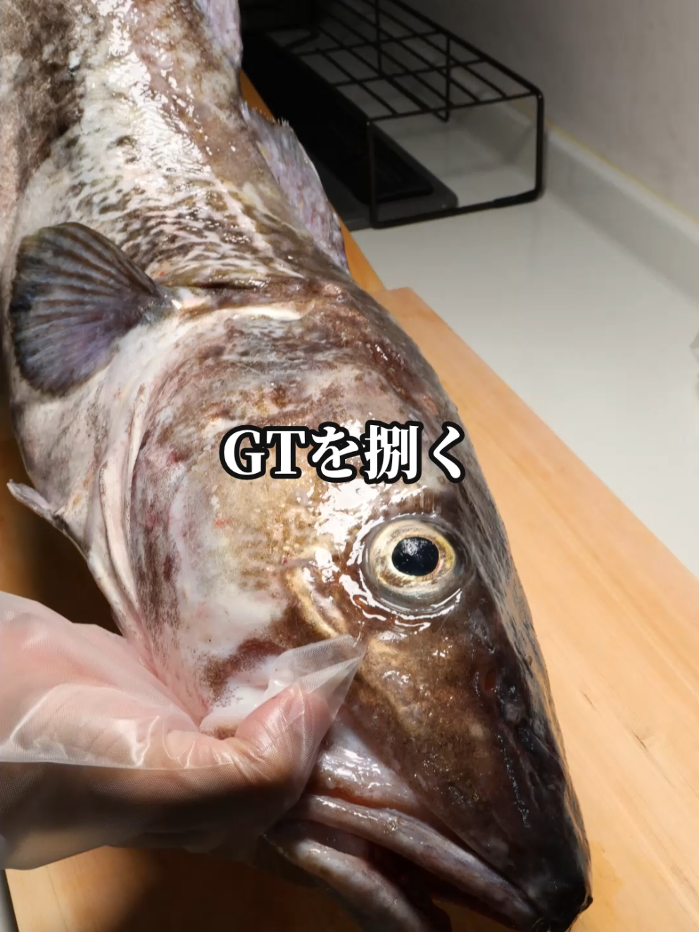 @セイゴ水産