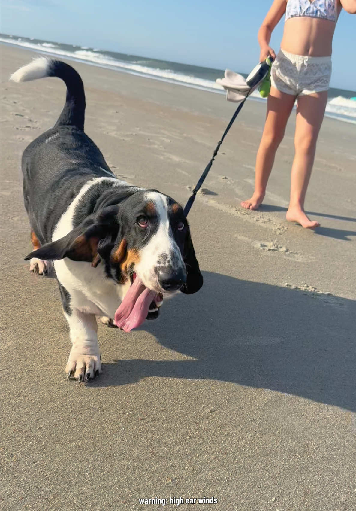 @🐾BillieBasset🐾