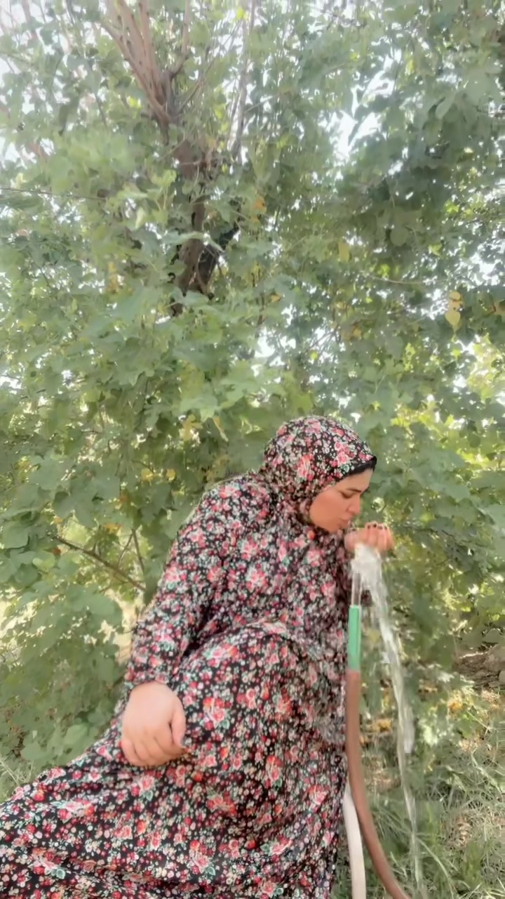 @xatwshewa2