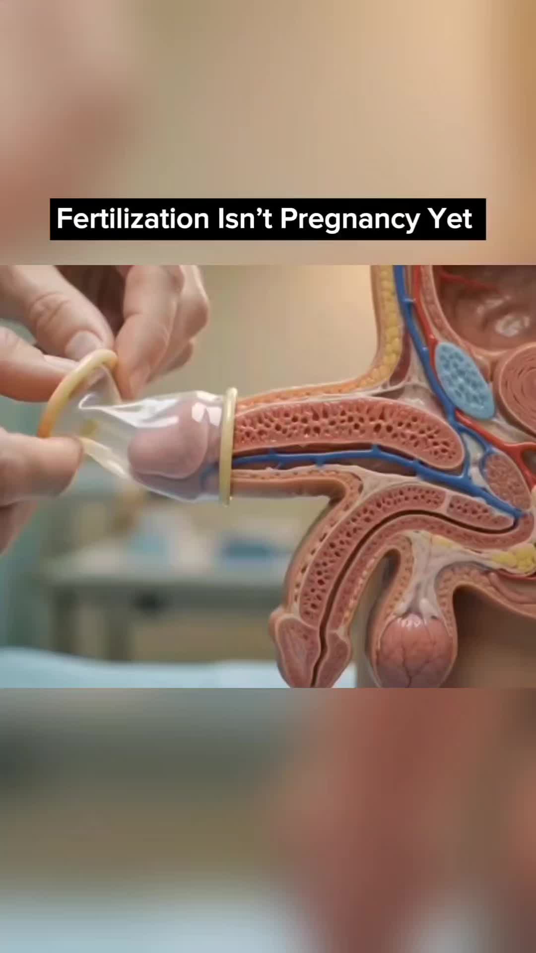 @Femniverse