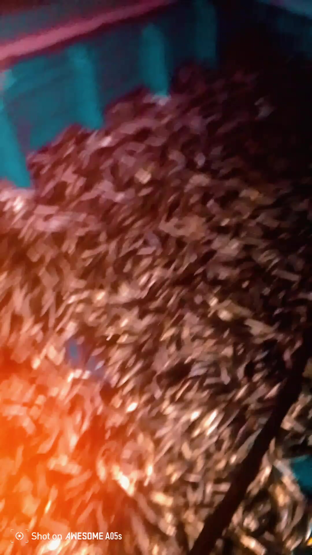 @🅽︎😇🅰︎🅽︎ 🌟🆃︎🅷︎ 😇🅰︎🅽︎