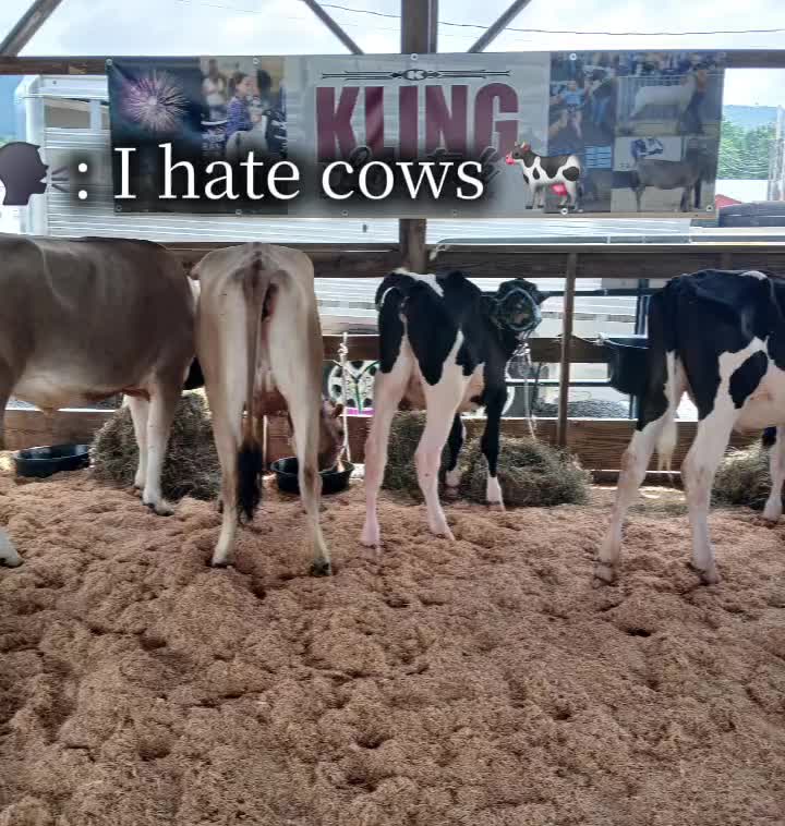 @ally kling