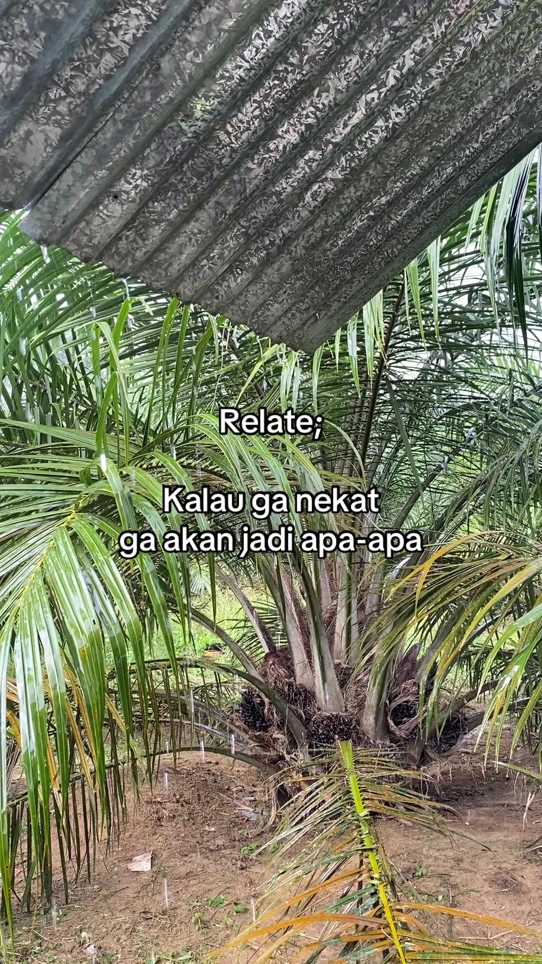 @Nildo Wiransyah