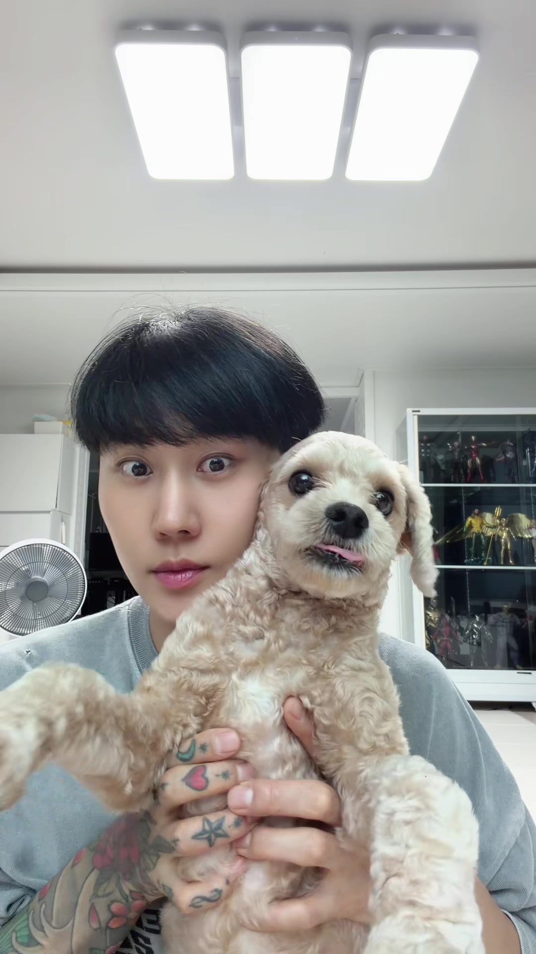 @🐶jin se jin🕺