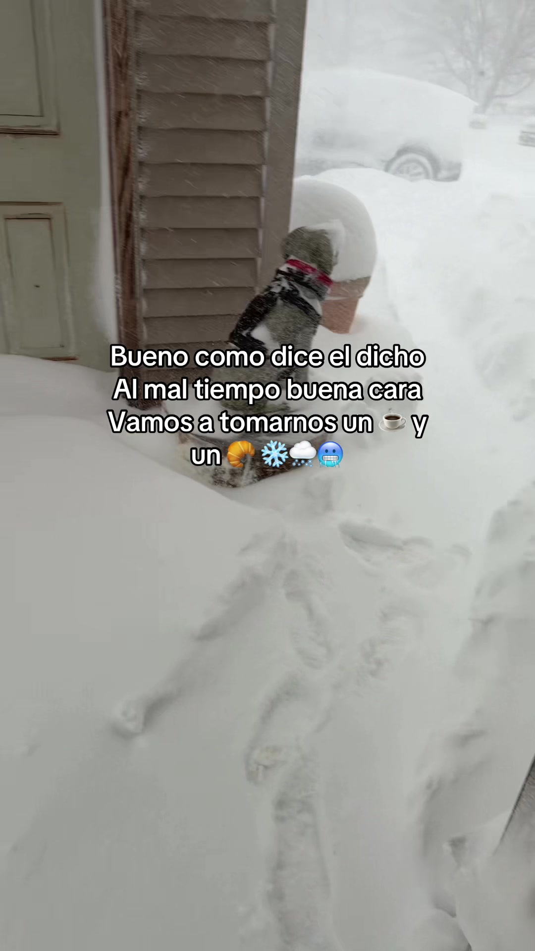 @Zaida Ojeda
