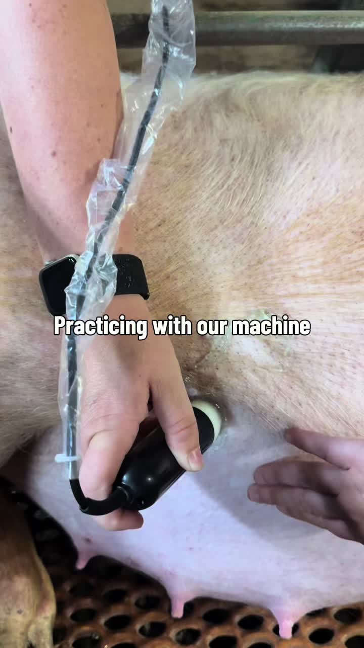 @JD Genetics (Rachel)