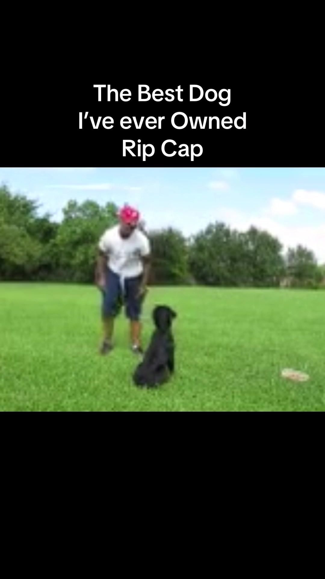 @Evry K9