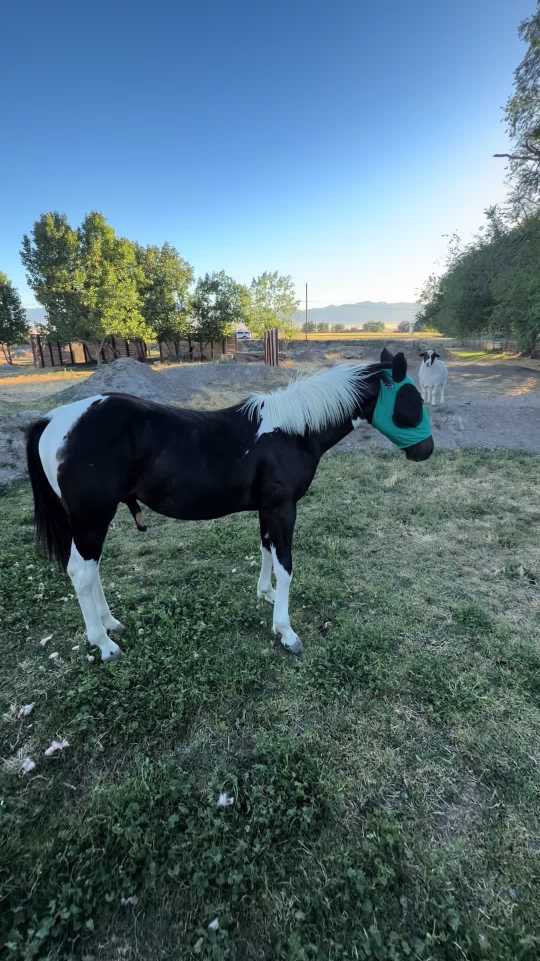 @happi acres