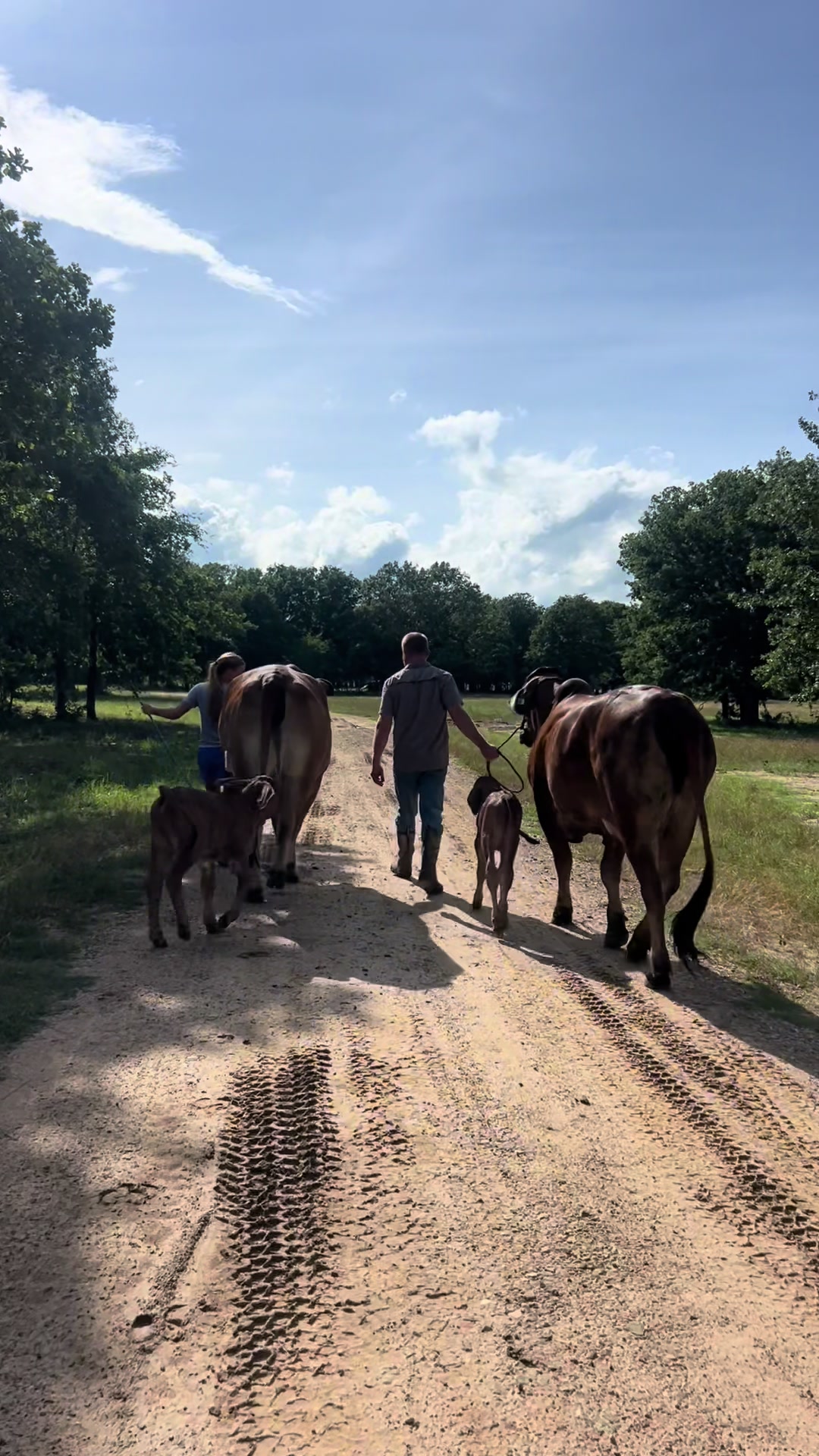 @The V6 Ranch